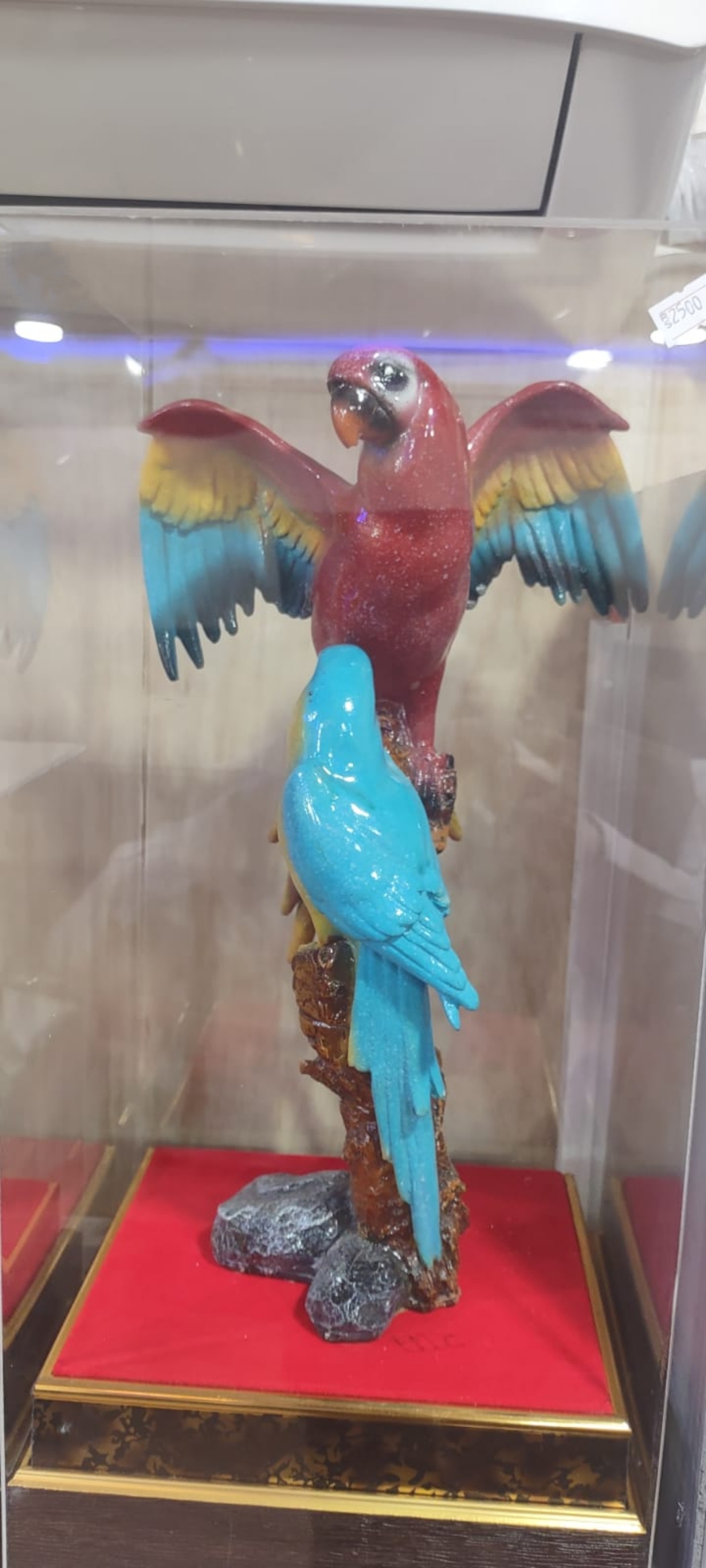 Parrot Memento