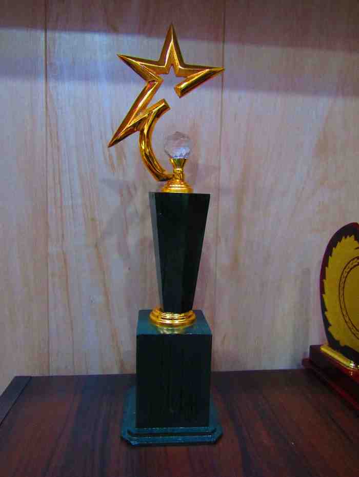 Crystal Trophy CT-11