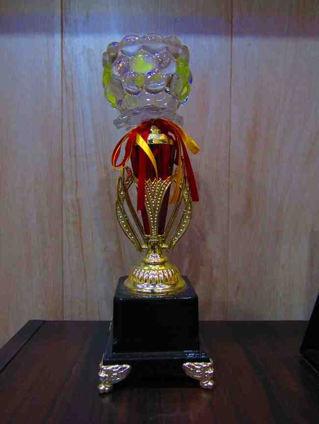 Crystal Trophy CT-13