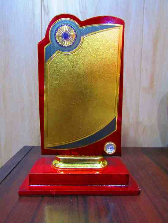 Wooden Trophy WT-04